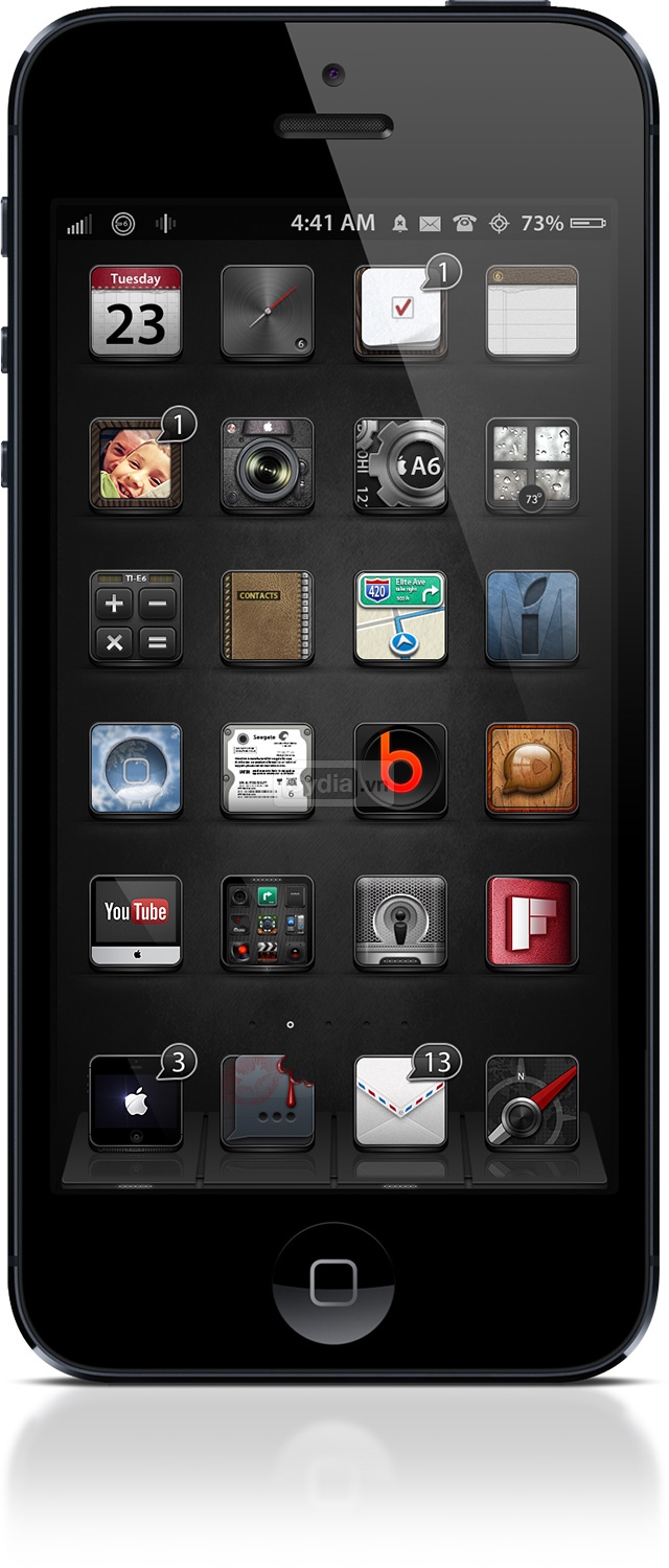 commodmyielite6SS-2.jpg