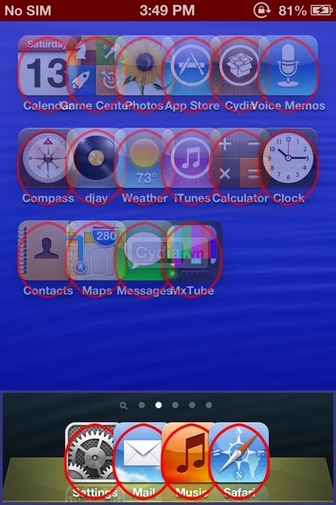 selenium3.jpg