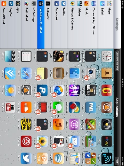 lockdownproipad3.jpg