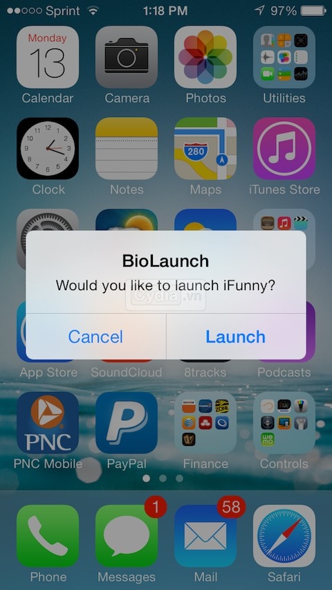biolaunch3.jpg