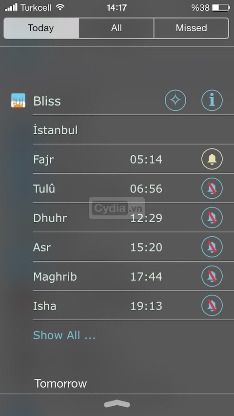 bliss3-2.jpg